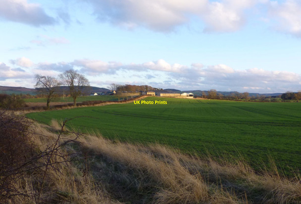 Photo 6"x4" Growing cereals Holburn c2014