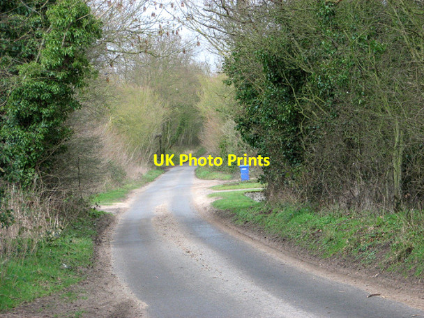 Photo 6"x4" View north along Cucumber Lane Weston\/TM4287 c2014