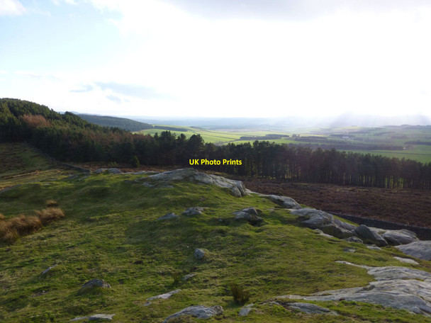 Photo 6"x4" Looking down across St Cuthbert's Way Holburn c2014