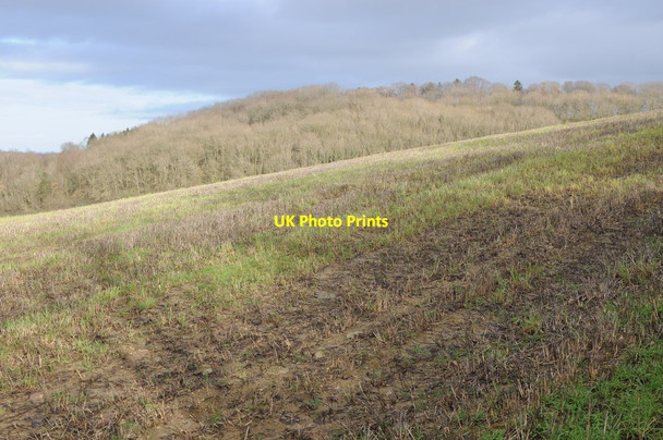 Photo 6"x4" Arable land and woodland on Sandhurst Hill Bishop's Norton c2014