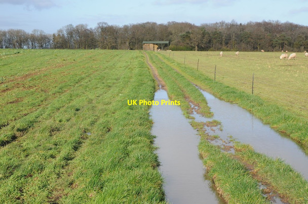 Photo 6"x4" Track crossing Sandhurst Hill Bishop's Norton c2014