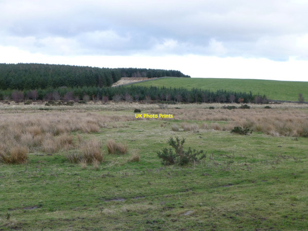 Photo 6"x4" Looking across Hazelrigg Moss Belford\/NU1033 c2014