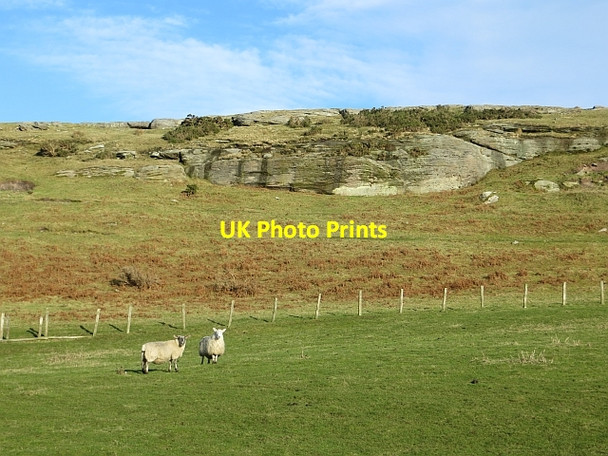 Photo 6"x4" Lyham Hill Greendykes\/NU0628 c2014