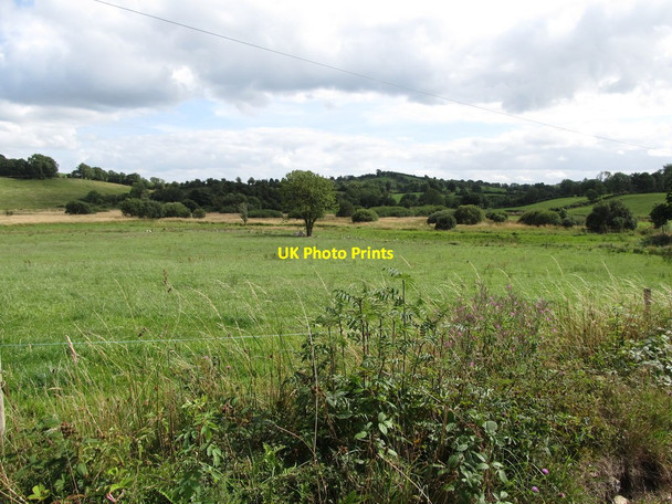Photo 6"x4" Grazing land reclaimed from the wetland adjoining the Glasdrumman Road Madabawn c2013