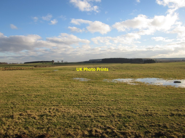 Photo 6"x4" Grassland west of Tollgate Plantation Warenford c2014
