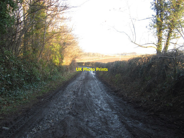 Photo 6"x4" Track at Whitelee Belford\/NU1033 c2014