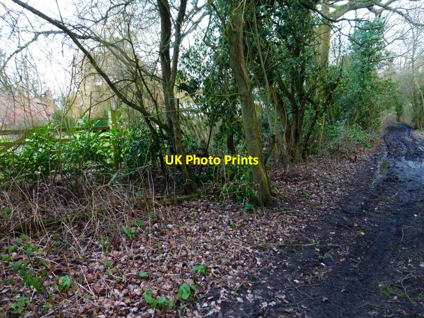 Photo 6"x4" Muddy byway in East Clandon East Clandon c2014
