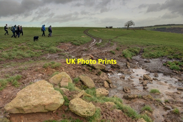 Photo 6"x4" Spring, Leas Head Road Leas Head Fm c2014