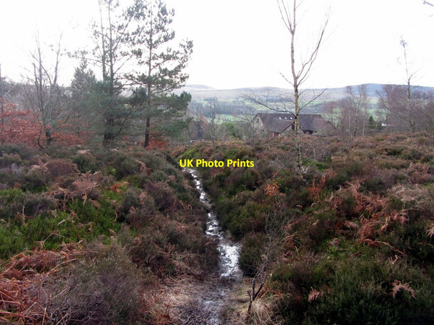 Photo 6"x4" Footpath north of Rothbury Rothbury c2014