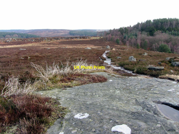Photo 6"x4" Path above Rothbury towards Addycombe Rothbury c2014