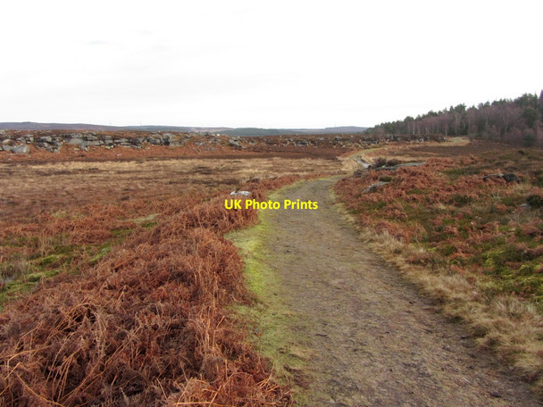 Photo 6"x4" Carriageway north of Rothbury Rothbury c2014
