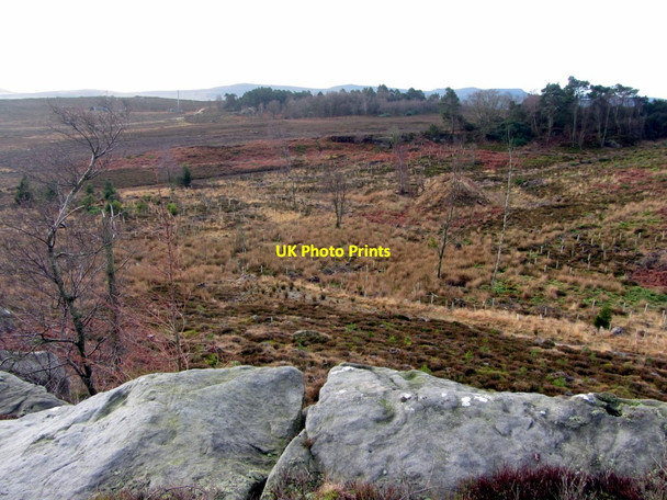 Photo 6"x4" View south from felled woodland near path to Cartington Rothbury c2014