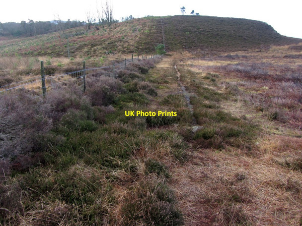 Photo 6"x4" Moorland north of Target Plantation Rothbury c2014