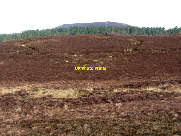 Photo 6"x4" First World War practice trenches above Cartington Cartington c2014