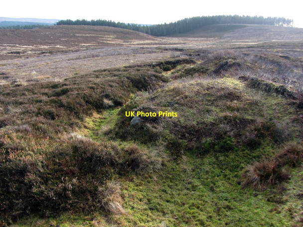 Photo 6"x4" First World War practice trenches above Cartington Cartington c2014 P1