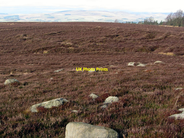 Photo 6"x4" Extensive system of First World War practice trenches, Rothbury Common Cartington c2014