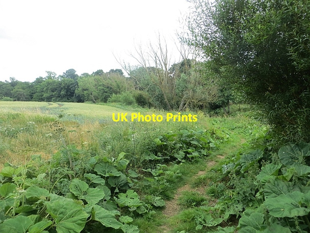 Photo 6"x4" Path beside the Tyne Athelstaneford c2013