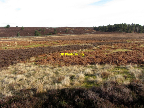 Photo 6"x4" Moorland on Rothbury Common, south of carriageway Cartington c2014