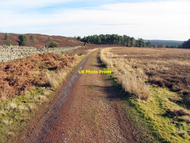 Photo 6"x4" Carriageway south of Crocky's Heugh Cartington c2014