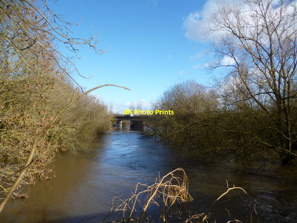 Photo 6"x4" High Levels in the Loddon Earley c2014