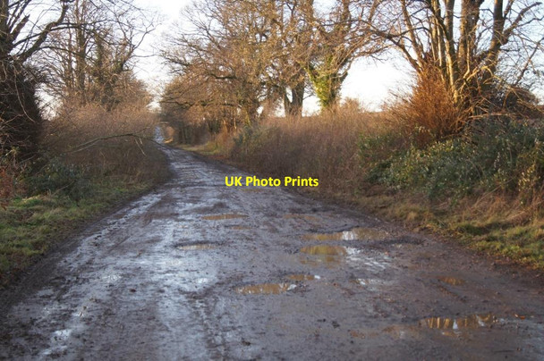 Photo 6"x4" Alresford Drove heading west Micheldever c2013