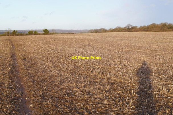 Photo 6"x4" Path across Borough Down Weston Colley c2013