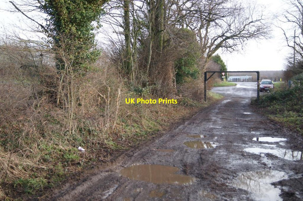 Photo 6"x4" Eastern end of Alresford Drove Micheldever c2013