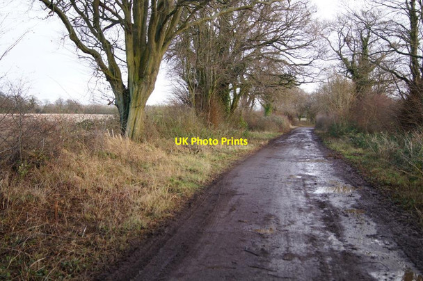 Photo 6"x4" Alresford Drove heading east Micheldever c2013