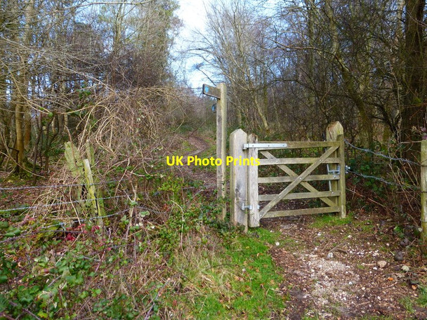 Photo 6"x4" Bridlegate on Oxen Down East Dean\/SU9013 c2014