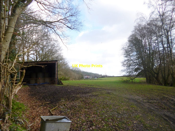 Photo 6"x4" Acres Down, grazing land Newtown\/SU2710 c2014