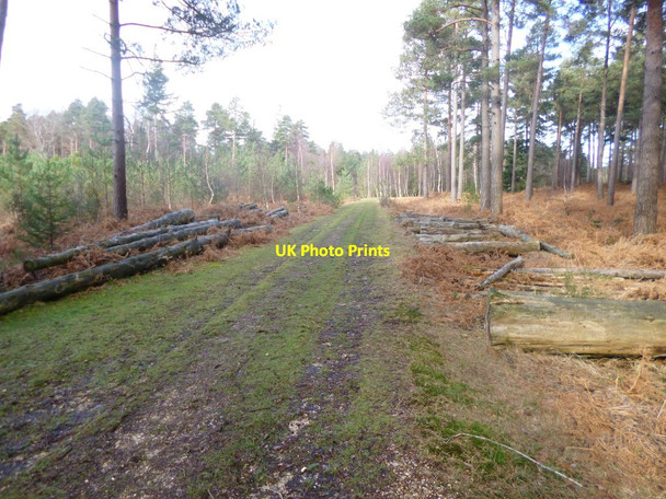 Photo 6"x4" Highland Water Inclosure, timber Stoney Cross c2014