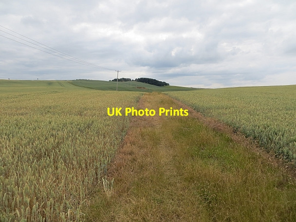 Photo 6"x4" Path, Pencraig East Linton c2013