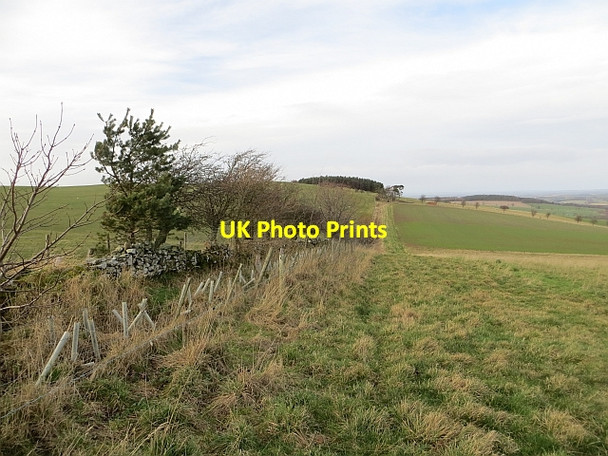 Photo 6"x4" High ground, Milfield West Flodden c2014