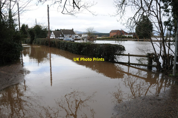 Photo 6"x4" Flooding at Severn Stoke Severn Stoke c2014