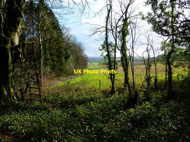 Photo 6"x4" View south from wood at Selhurst Park Eartham c2014
