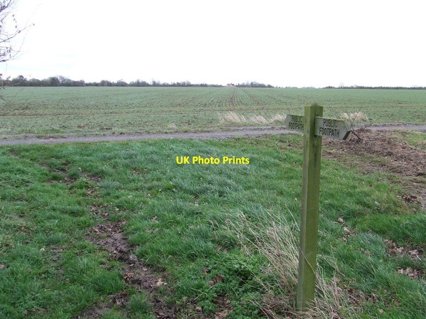 Photo 6"x4" Footpath Finger Post Stanway Green\/TM2470 c2014