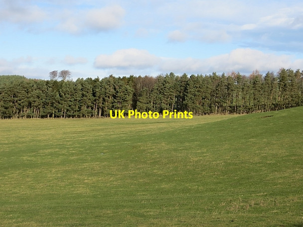 Photo 6"x4" Ford Common Ford Hill\/NT9537 c2014