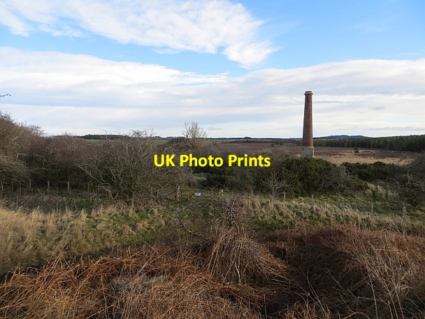 Photo 6"x4" Ford Moss Ford Hill\/NT9537 c2014
