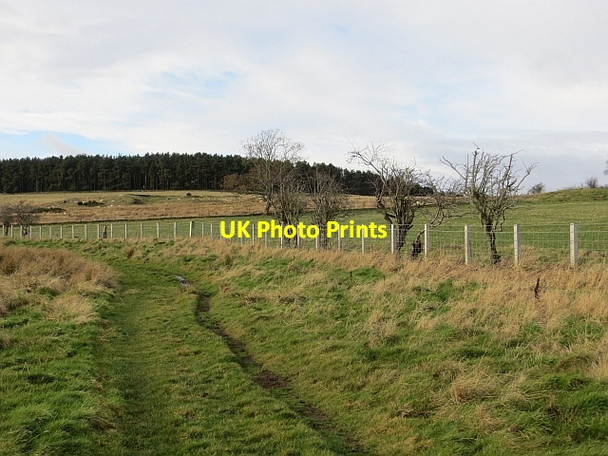 Photo 6"x4" Track, Ford Moss Ford Hill\/NT9537 c2014