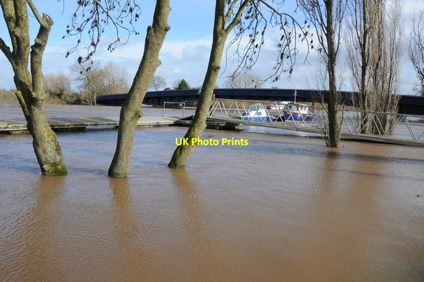 Photo 6"x4" Flooded River Severn at Upton Upton upon Severn c2014