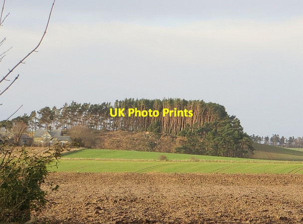Photo 6"x4" Oakhall Plantation Crookham\/NT9138 c2014