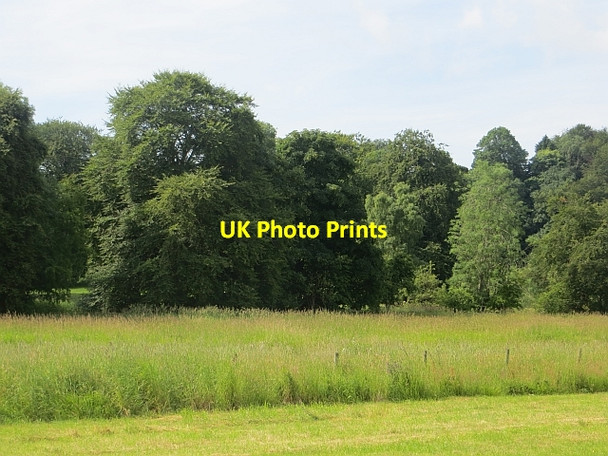 Photo 6"x4" Parkland, Pitcairlie Grange of Lindores c2013