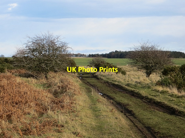 Photo 6"x4" Track, Ford Moss Ford Hill\/NT9537 c2014