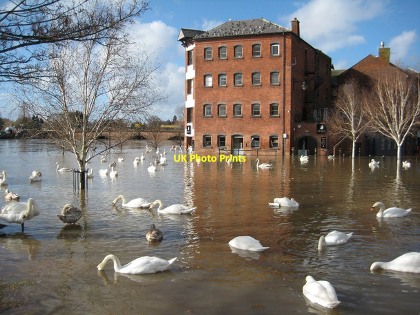 Photo 6"x4" Flooding in Worcester Worcester c2014