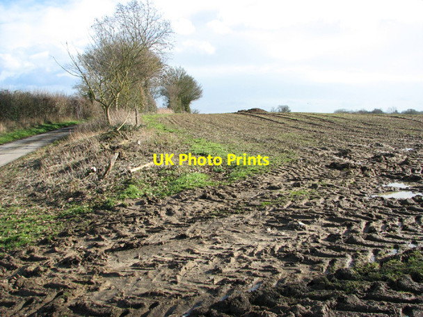 Photo 6"x4" Field south of Low Road Hedenham c2014