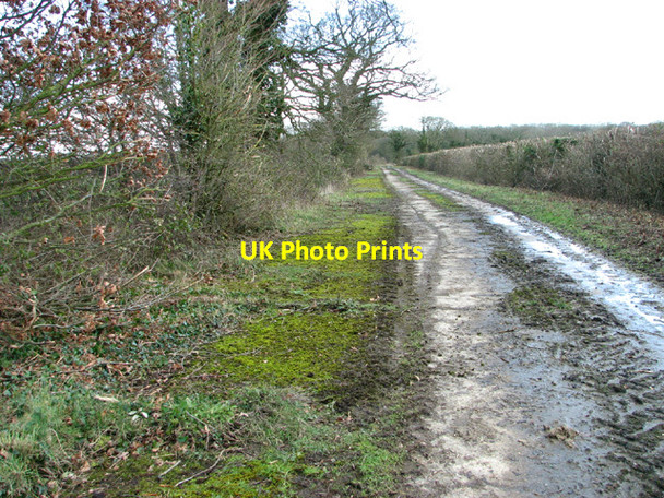 Photo 6"x4" Moss-covered Banham's Lane Upgate Street\/TM2891 c2014