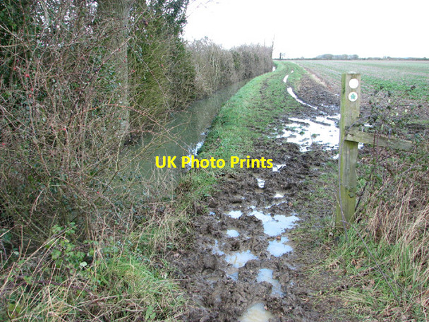 Photo 6"x4" Bridleway to Holland's Green Upgate Street\/TM2891 c2014