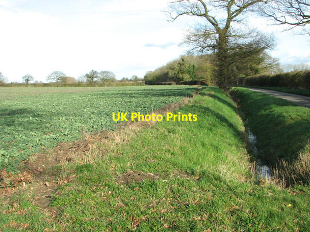 Photo 6"x4" Ditch beside lane to Bedingham Bedingham Green c2014