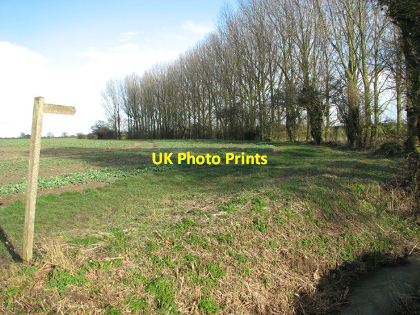 Photo 6"x4" Footpath to Woodton Bedingham Green c2014