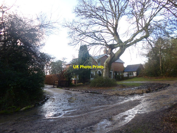 Photo 6"x4" Eyeworth, lodge Fritham c2014